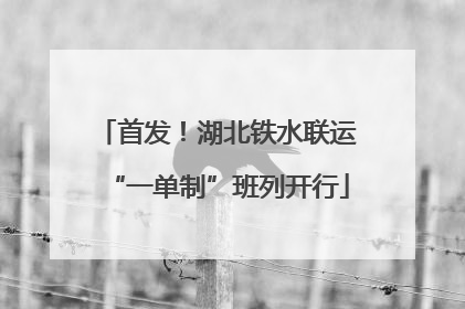 首发！湖北铁水联运“一单制”班列开行