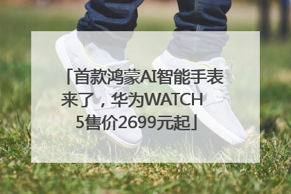 首款鸿蒙AI智能手表来了，华为WATCH 5售价2699元起