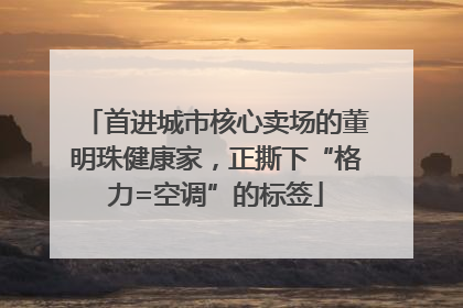 首进城市核心卖场的董明珠健康家，正撕下“格力=空调”的标签