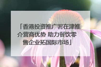 香港投资推广署在津推介营商优势 助力餐饮零售企业拓国际市场