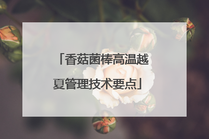 香菇菌棒高温越夏管理技术要点