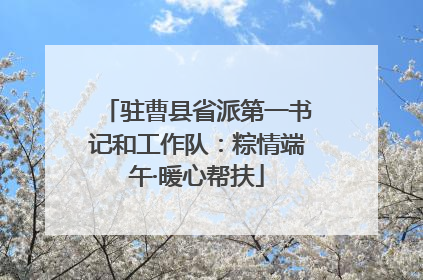 驻曹县省派第一书记和工作队：粽情端午·暖心帮扶