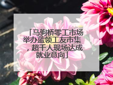 马驹桥零工市场举办蓝领工友市集，超千人现场达成就业意向