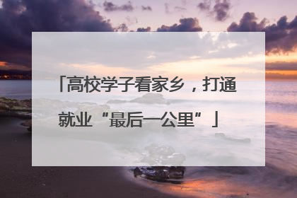 高校学子看家乡，打通就业“最后一公里”