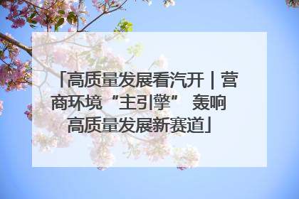 高质量发展看汽开｜营商环境“主引擎” 轰响高质量发展新赛道