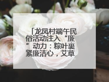 龙凤村端午民俗活动注入“廉”动力：粽叶裹紧廉洁心，艾草锤敲警示钟