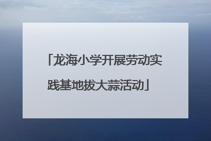 龙海小学开展劳动实践基地拔大蒜活动