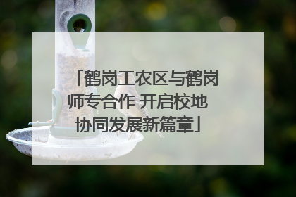 鹤岗工农区与鹤岗师专合作 开启校地协同发展新篇章