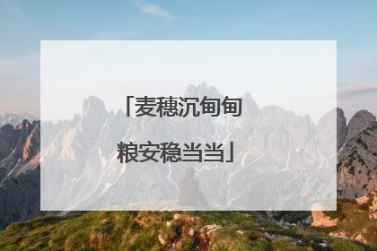麦穗沉甸甸 粮安稳当当