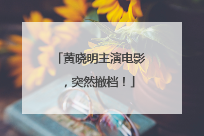 黄晓明主演电影，突然撤档！