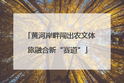 黄河岸畔闯出农文体旅融合新“赛道”