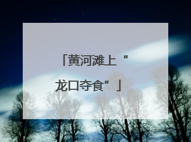 黄河滩上“龙口夺食”