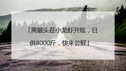 黄陂头茬小龙虾开炫，日供8000斤，快来尝鲜