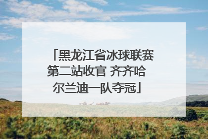 黑龙江省冰球联赛第二站收官 齐齐哈尔兰迪一队夺冠