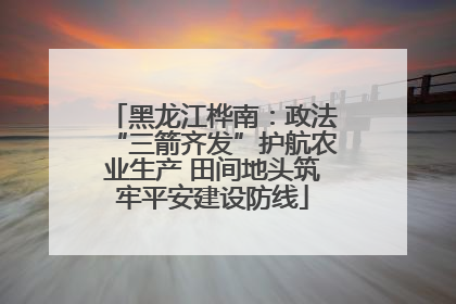 黑龙江桦南：政法“三箭齐发”护航农业生产 田间地头筑牢平安建设防线