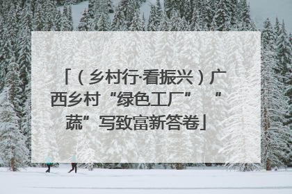 （乡村行·看振兴）广西乡村“绿色工厂” “蔬”写致富新答卷
