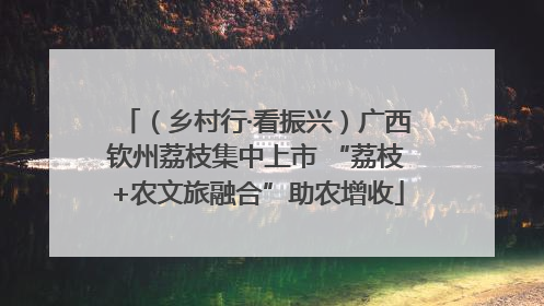 （乡村行·看振兴）广西钦州荔枝集中上市 “荔枝+农文旅融合”助农增收