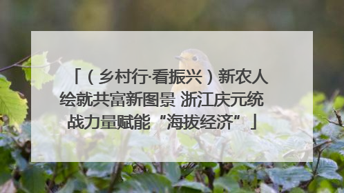 （乡村行·看振兴）新农人绘就共富新图景 浙江庆元统战力量赋能“海拔经济”