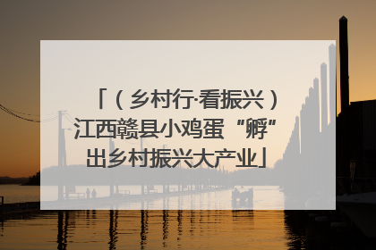 （乡村行·看振兴）江西赣县小鸡蛋“孵”出乡村振兴大产业