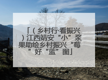 （乡村行·看振兴）江西靖安“小”浆果助绘乡村振兴“莓”好“蓝”图
