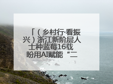 （乡村行·看振兴）浙江新阶层人士种蓝莓16载 盼用AI赋能“二次创业”