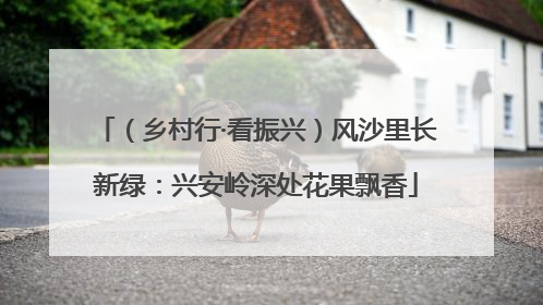 （乡村行·看振兴）风沙里长新绿：兴安岭深处花果飘香
