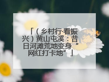 （乡村行·看振兴）黄山屯溪：昔日河滩荒地变身“网红打卡地”