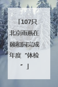 107只北京雨燕在颐和园完成年度“体检”