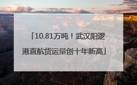 10.81万吨！武汉阳逻港直航货运量创十年新高