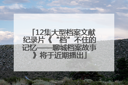 12集大型档案文献纪录片《“档”不住的记忆——聊城档案故事》将于近期播出