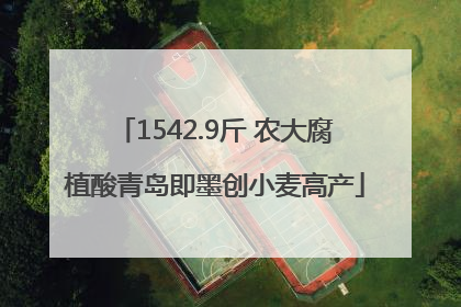 1542.9斤 农大腐植酸青岛即墨创小麦高产