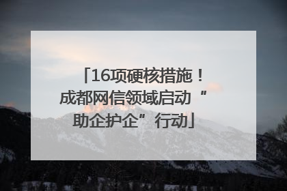 16项硬核措施！成都网信领域启动“助企护企”行动