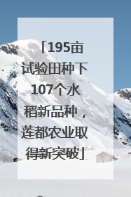 195亩试验田种下107个水稻新品种，莲都农业取得新突破
