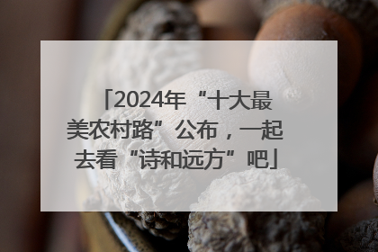 2024年“十大最美农村路”公布，一起去看“诗和远方”吧