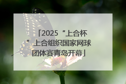 2025“上合杯”上合组织国家网球团体赛青岛开幕
