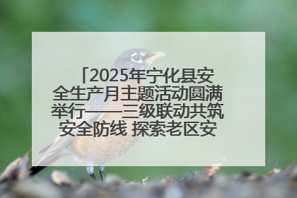 2025年宁化县安全生产月主题活动圆满举行——三级联动共筑安全防线 探索老区安全发展新路径