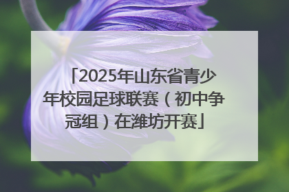 2025年山东省青少年校园足球联赛（初中争冠组）在潍坊开赛