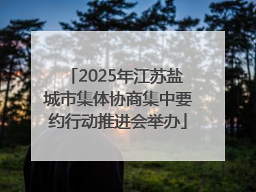 2025年江苏盐城市集体协商集中要约行动推进会举办