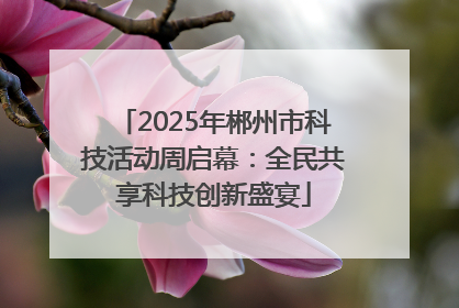 2025年郴州市科技活动周启幕：全民共享科技创新盛宴