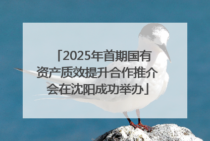 2025年首期国有资产质效提升合作推介会在沈阳成功举办
