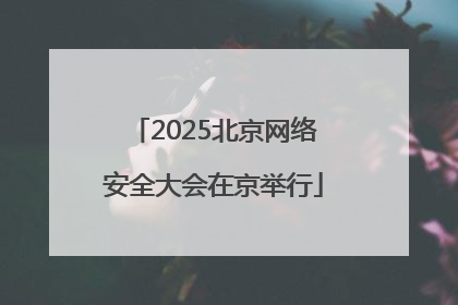2025北京网络安全大会在京举行