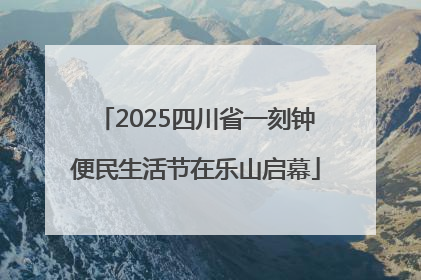 2025四川省一刻钟便民生活节在乐山启幕
