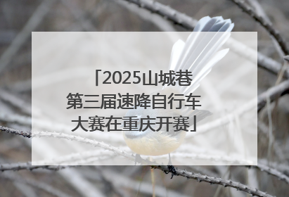 2025山城巷第三届速降自行车大赛在重庆开赛