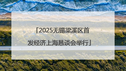 2025无锡梁溪区首发经济上海恳谈会举行