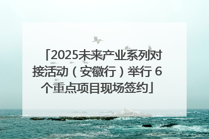 2025未来产业系列对接活动（安徽行）举行 6个重点项目现场签约