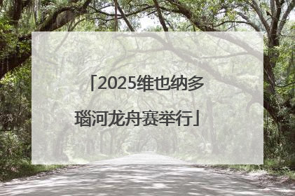 2025维也纳多瑙河龙舟赛举行
