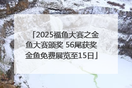 2025福鱼大赛之金鱼大赛颁奖 56尾获奖金鱼免费展览至15日