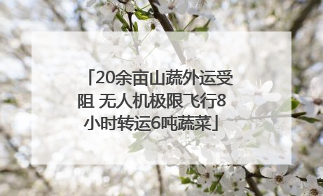 20余亩山蔬外运受阻 无人机极限飞行8小时转运6吨蔬菜