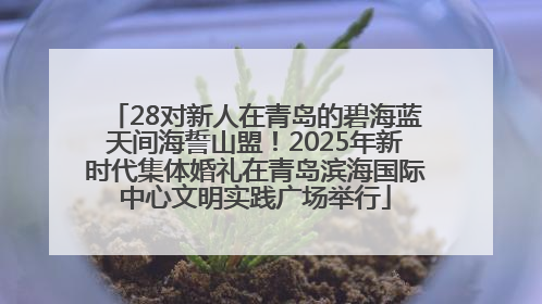 28对新人在青岛的碧海蓝天间海誓山盟！2025年新时代集体婚礼在青岛滨海国际中心文明实践广场举行