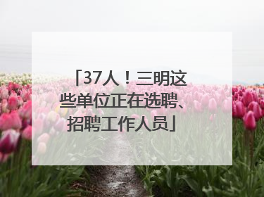 37人!三明这些单位正在选聘、招聘工作人员